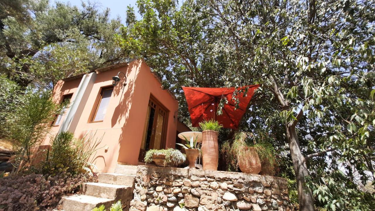 Maroc Lodge Atlas Mountain Retreat Amizmiz Dış mekan fotoğraf