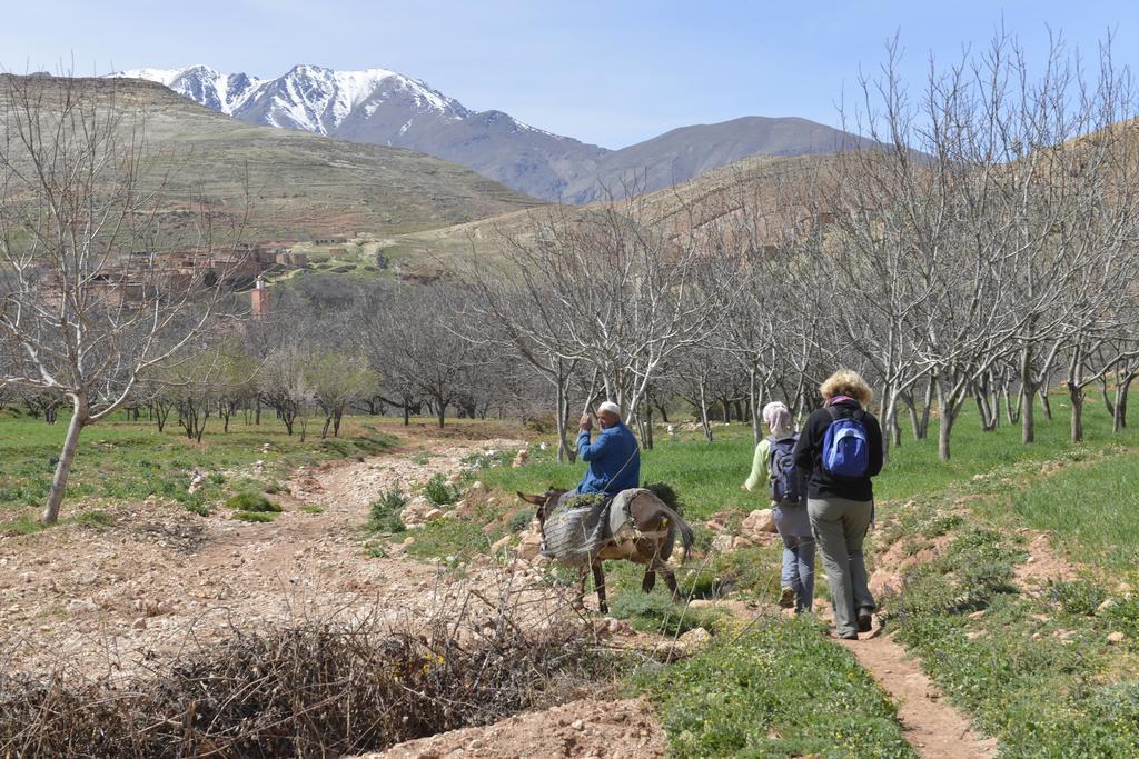 Maroc Lodge Atlas Mountain Retreat Amizmiz Dış mekan fotoğraf